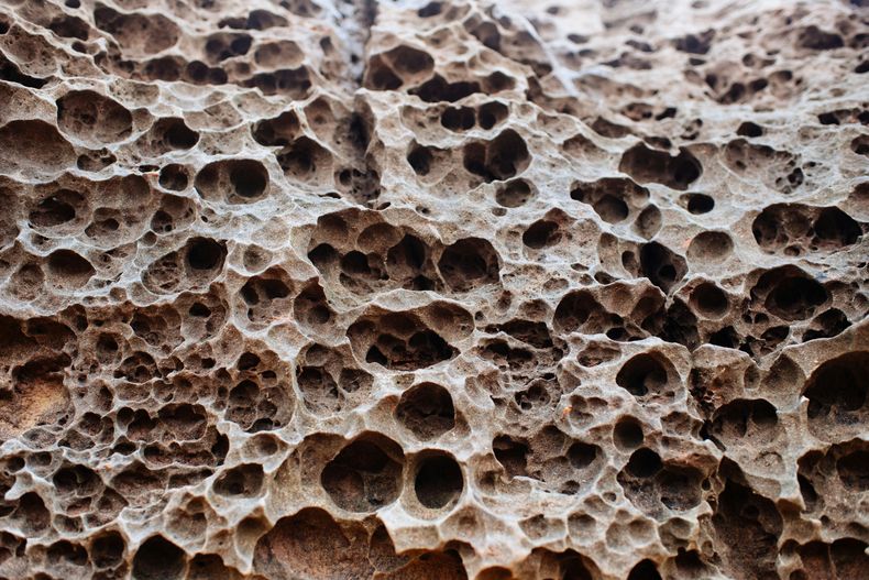 Día Mundial de la Osteoporosis: dos de cada tres mujeres mayores de 50 años tendrán una fractura por fragilidad