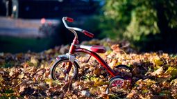 Así funciona la alerta Amber que quieren aplicar en Uruguay.