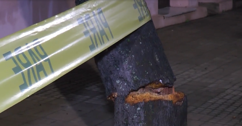 Un peón rural murió tras ser alcanzado por un rayo durante el temporal en Cerro Largo