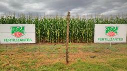 Isusa enviará a 160 empleados a seguro de paro