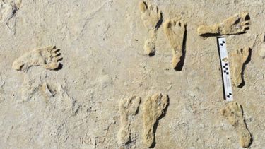 Huellas de 23.000 años reescriben la historia humana de América