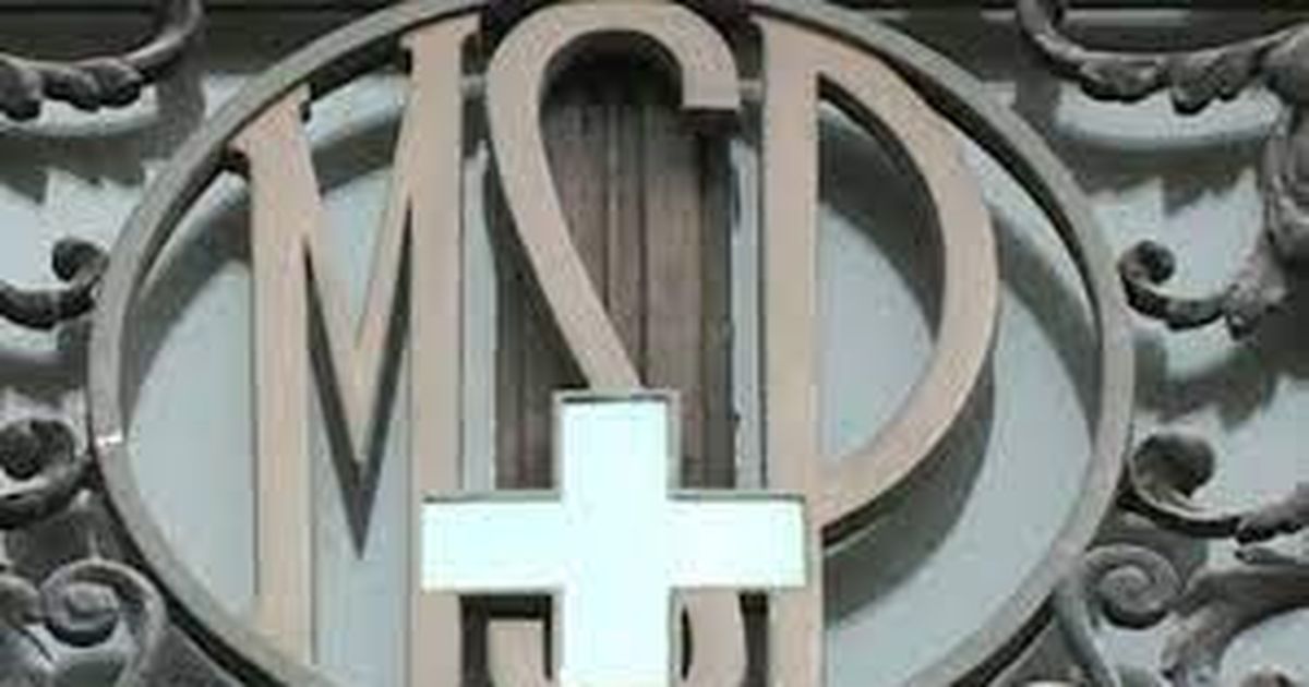 MSP trabaja en una iniciativa para que las mujeres migrantes accedan al aborto