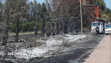 UTE confirmó que incendios afectaron un mínimo de servicios