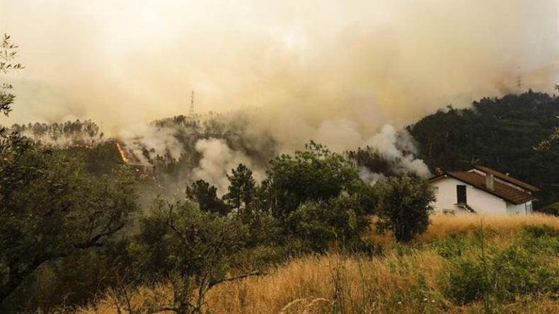 Portugal: Se estrelló avión que trabajaba en la extinción del incendio
