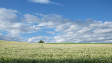 Jueves según Inumet.