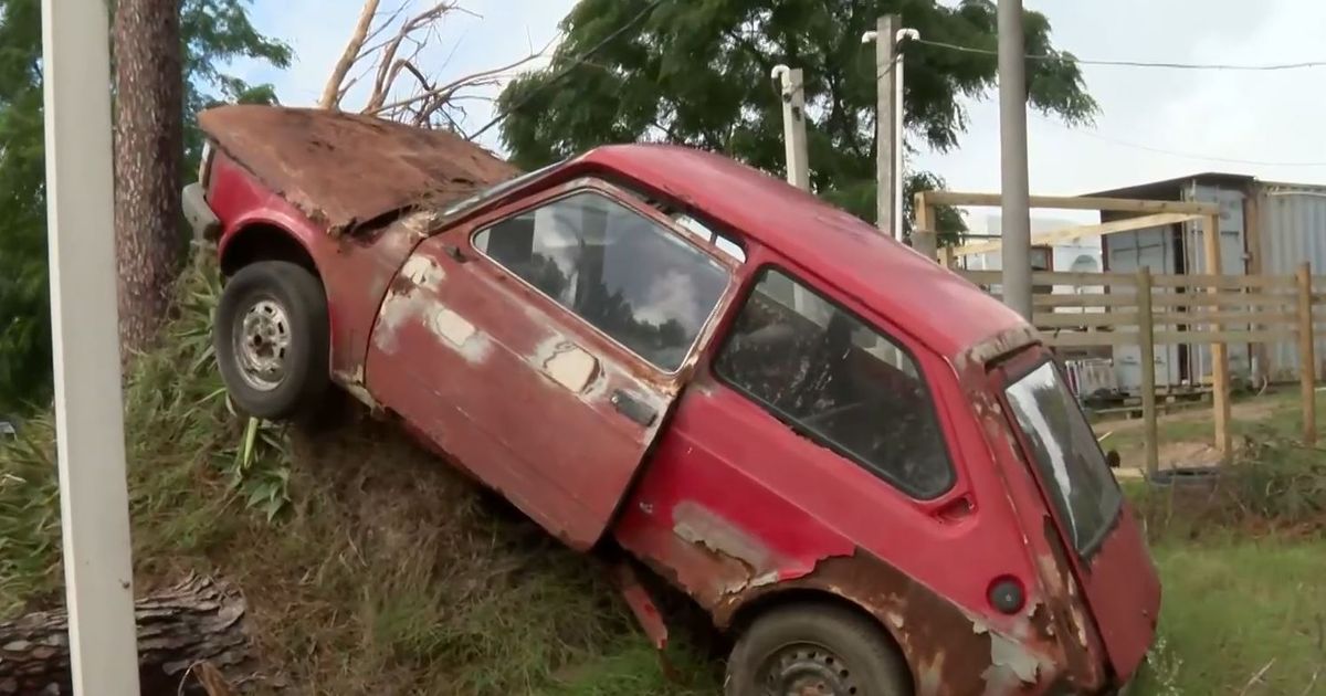 Árbol cayó y levantó un auto en Pinamar durante el fuerte temporal