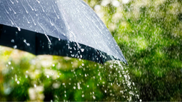 Martes según Inumet.&nbsp;