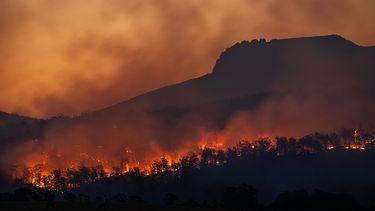 El clima entra en el Consejo de Derechos Humanos de la ONU
