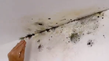 ¿Cómo luchar con las manchas de humedad de las viviendas?