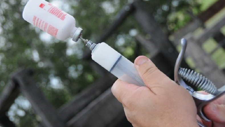 Vacunación contra la fiebre aftosa comenzará el 15 de mayo en todo el país