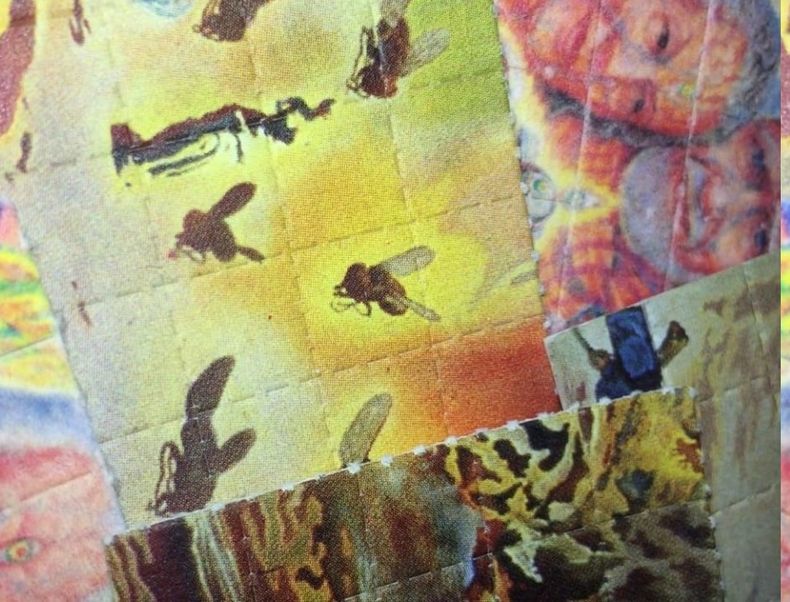 LSD
